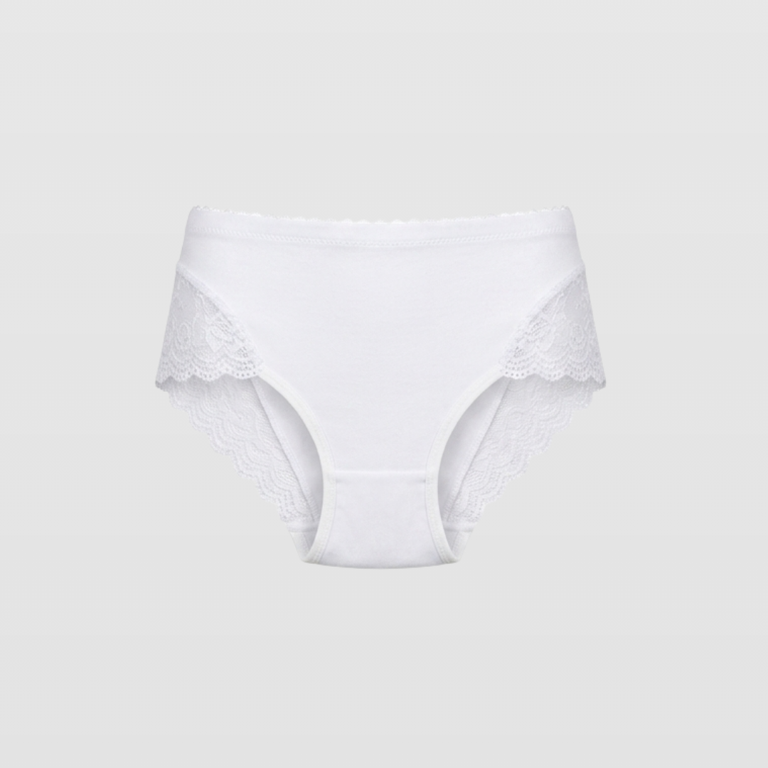 Smooth Lace Trim High Waist Brief Panty