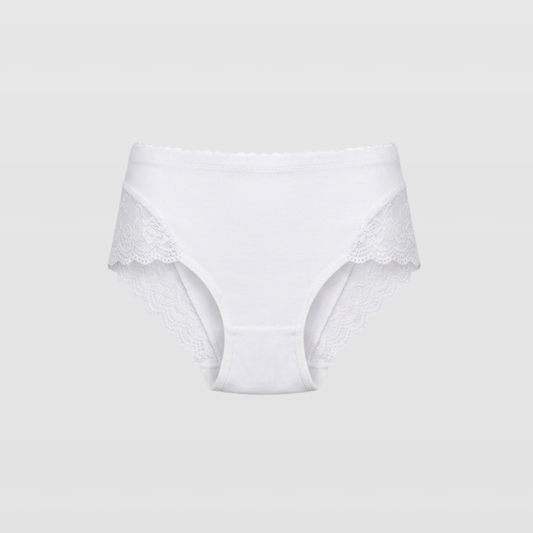 Smooth Lace Trim High Waist Brief Panty