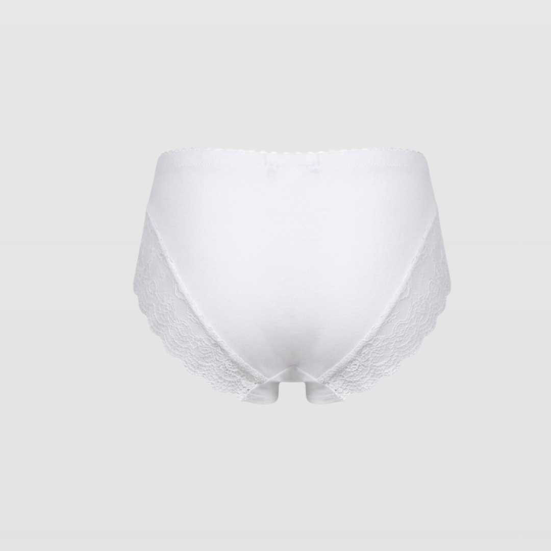 Smooth Lace Trim High Waist Brief Panty